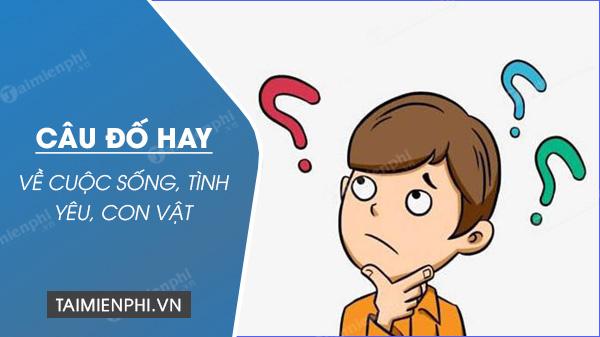 Những câu đố thú vị, đố vui, đố mẹo