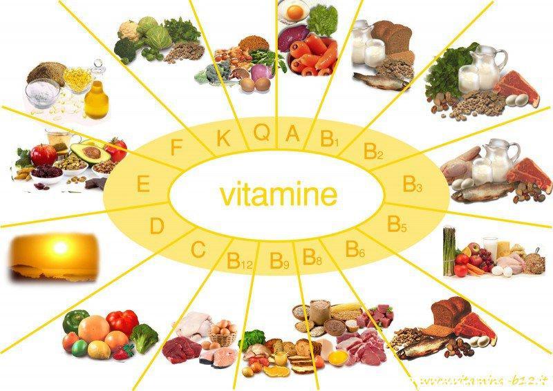 Lý thuyết Vitamin và muối khoáng Sinh học 8