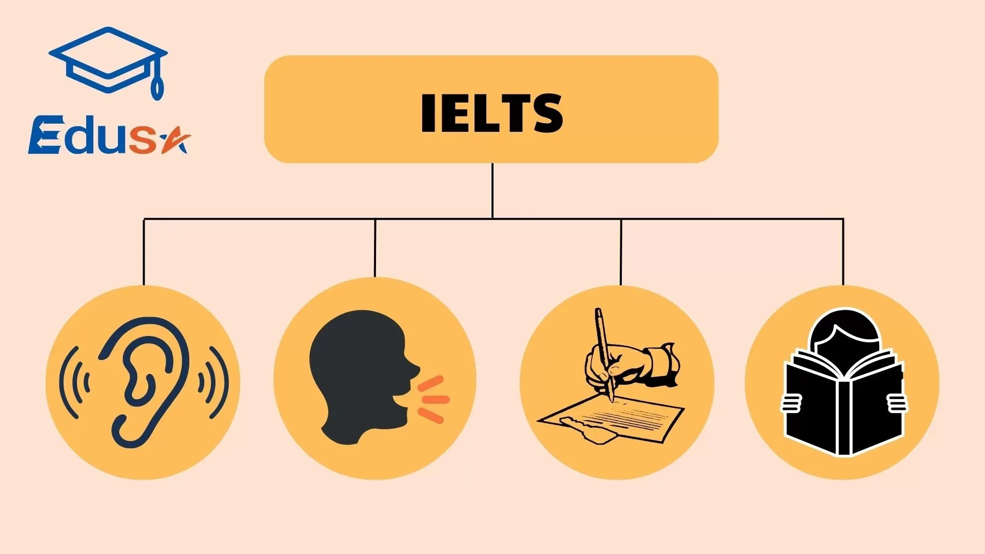 Band Điểm IELTS Là Gì? Làm Thế Nào Để Tính Điểm IELTS?