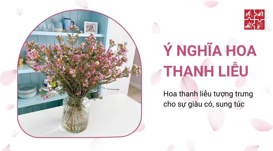 Ý nghĩa hoa thanh liễu