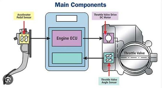 Cảm biến vị trí bàn đạp ga - EAC