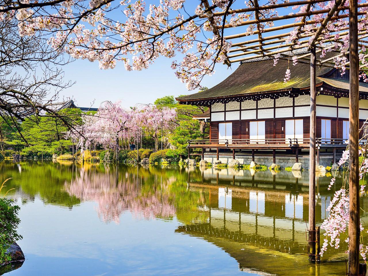 &nbsp;Sông Meguro, Tokyo có những hàng cây anh đào trải dọc bờ sông, thu hút rất nhiều du khách tới trong mùa hoa nở. Vào những ngày gió mạnh, hoa anh đào sẽ rụng đầy dưới sông, tạo nên khung cảnh rất đẹp.