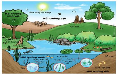 TRƯỜNG MẦM NON TÂN THÔNG HỘI 1