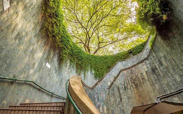 Check-in thiên đường sống ảo tại Fort Canning Park khi du lịch Singapore