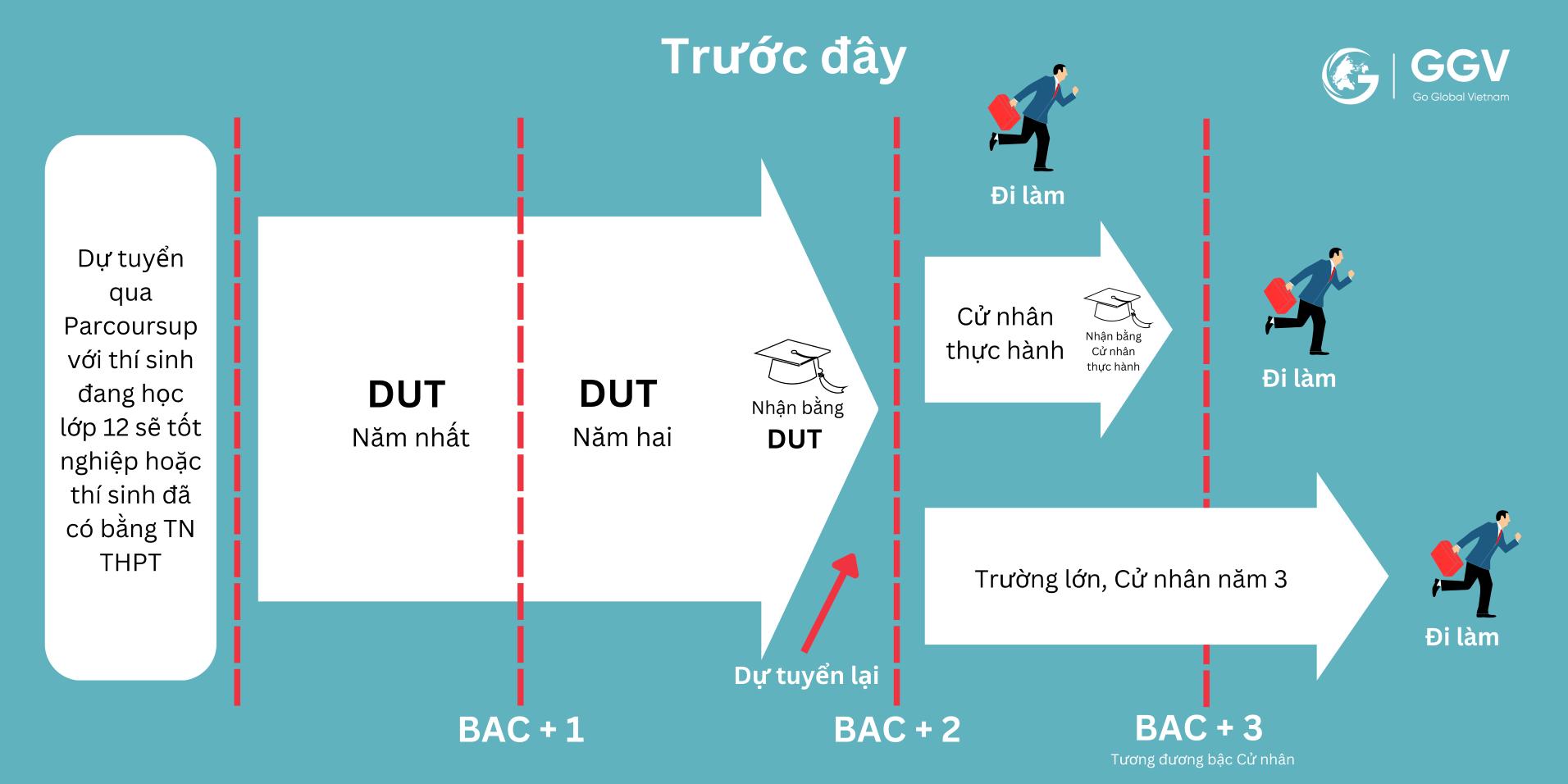 Chương trình BUT là gì? IUT là gì? Học BUT tại IUT liệu có tốt?