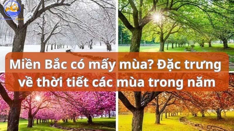 Miền Bắc có mấy mùa?