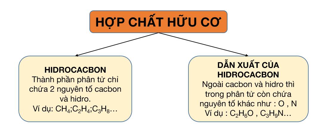 Lý Thuyết Hóa Hữu Cơ 11: Đại Cương Hóa Hữu Cơ Và Hiđrocacbon