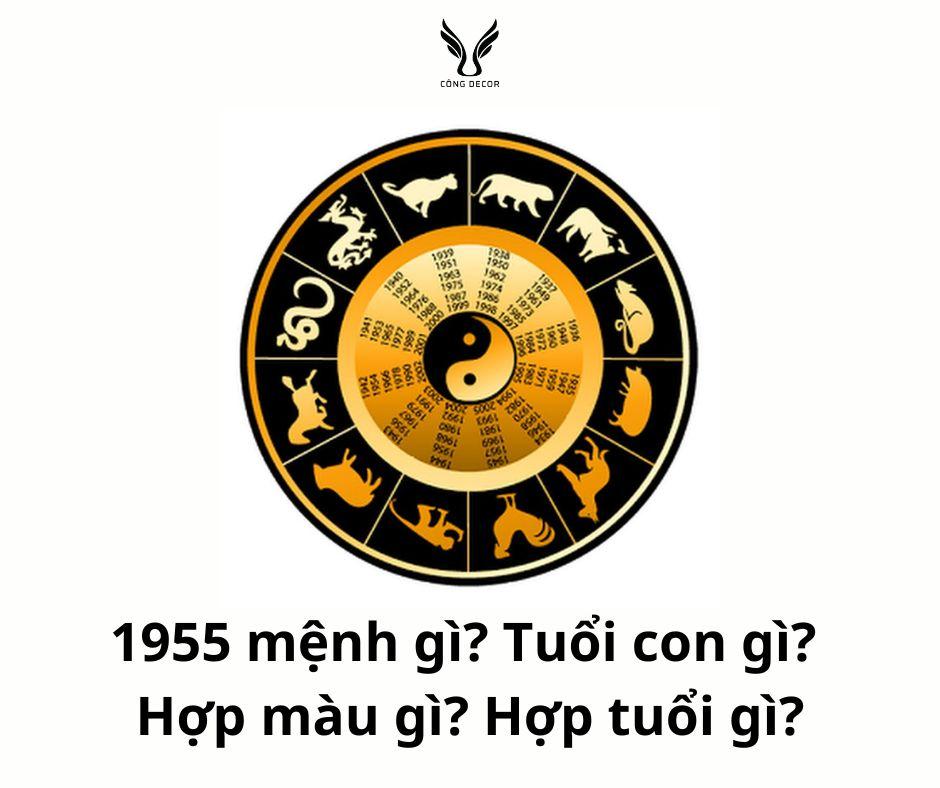 1955 mệnh gì? Tuổi con gì? Hợp màu gì? Hợp tuổi gì?