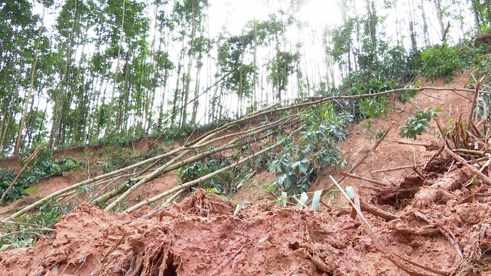 Màu xanh không bền vững