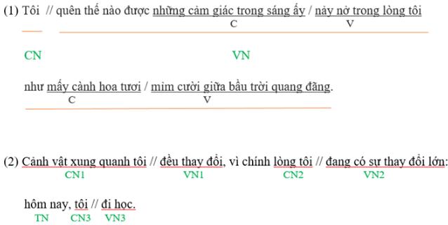 Soạn bài Câu ghép hay, ngắn gọn
