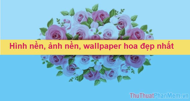 Bộ sưu tập hình nền hoa đẹp nhất