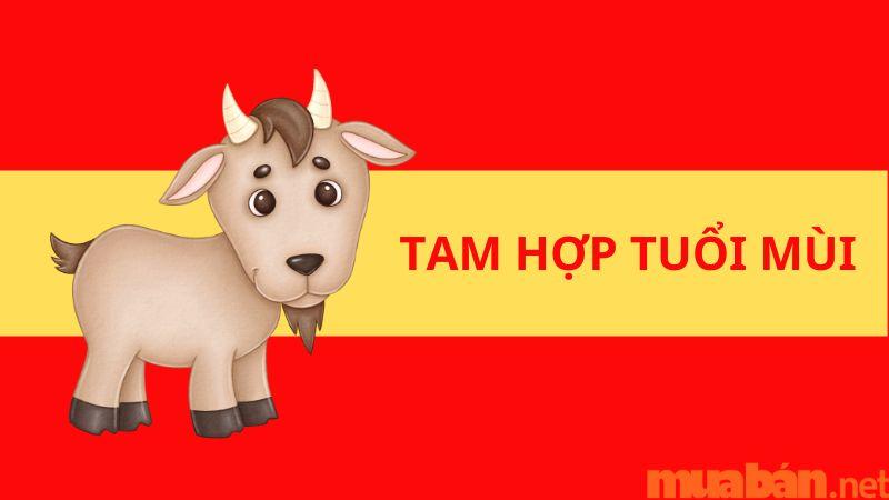 Tam hợp tuổi Mùi và những điều bạn nên biết