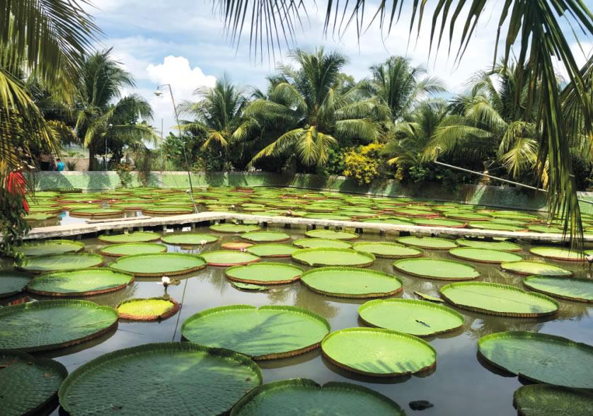 Tour Đồng Tháp An Giang 2 ngày 1 đêm