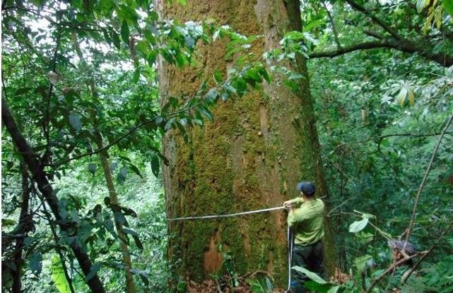 Vai Trò Quan Trọng Của Rừng đặc Dụng ở Bắc Trung Bộ Là