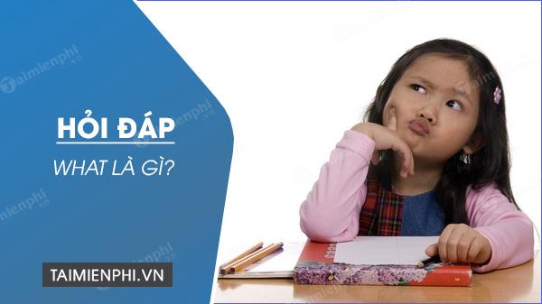 What là gì? What nghĩa là gì trong tiếng Anh, tiếng Việt?