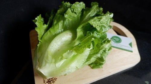 Xà lách romaine (rô men)