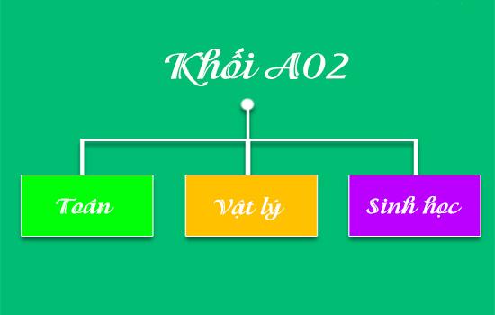Khối A2 gồm những ngành nào? Tổng hợp các trường tuyển sinh khối A2
