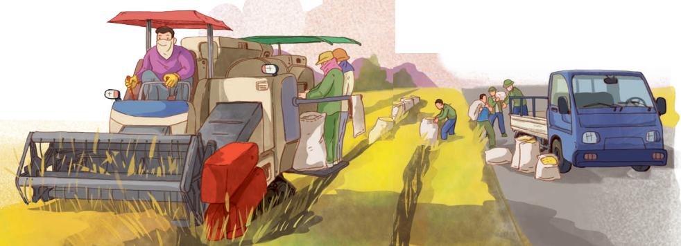 Tiếng Anh 8 Unit 2 Getting Started