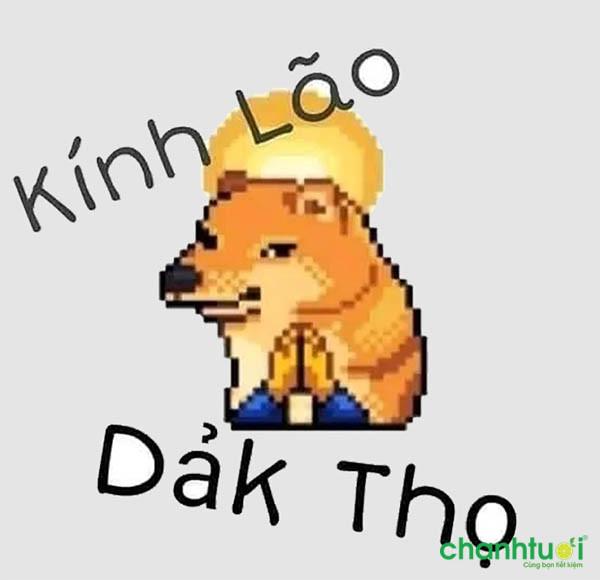 Dảk, bủh, lmao là gì? Những từ này dùng trên Facebook như thế nào?