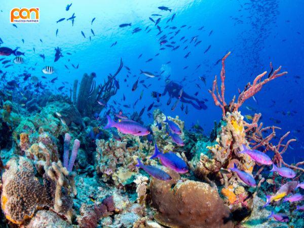 Kiến thức chuyên ngành