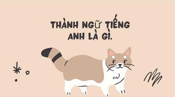 Tổng hợp những thành ngữ tiếng Anh thông dụng nên biết