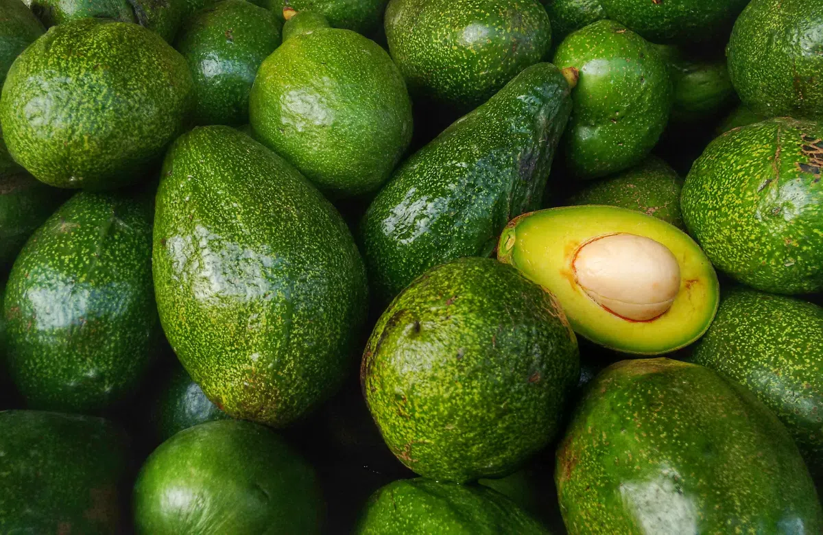 Ăn bơ có tác dụng gì?