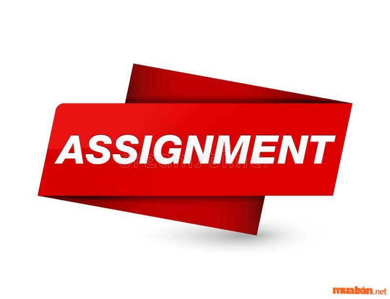 Assignment là gì? Những lưu ý để thực hiện Assignment chất lượng, đạt kết quả cao