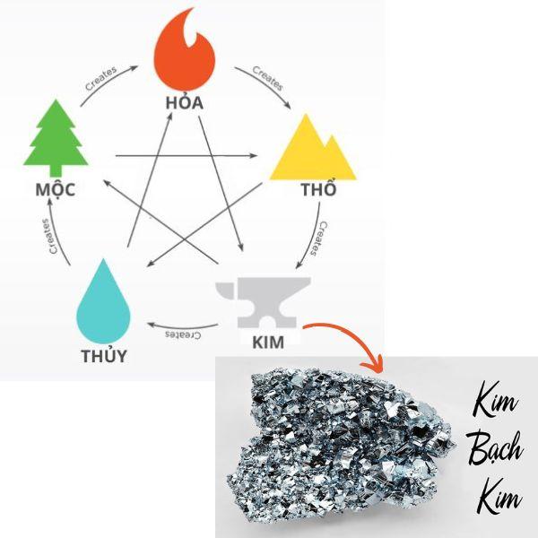 GoldCat.vn - Nôi Cũi Chuẩn Việt