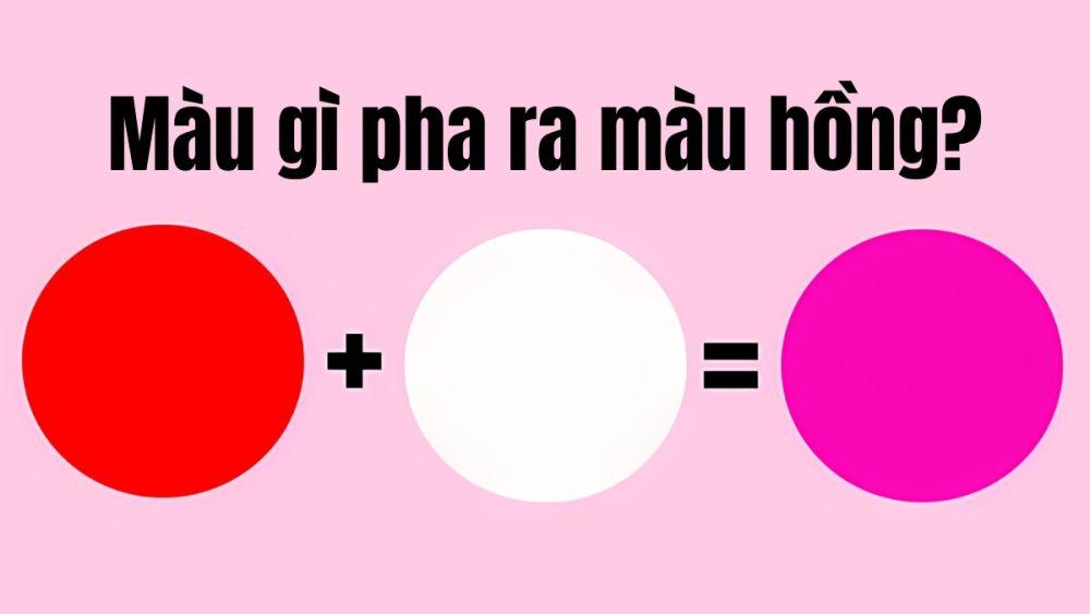 Màu hồng pha từ màu gì?