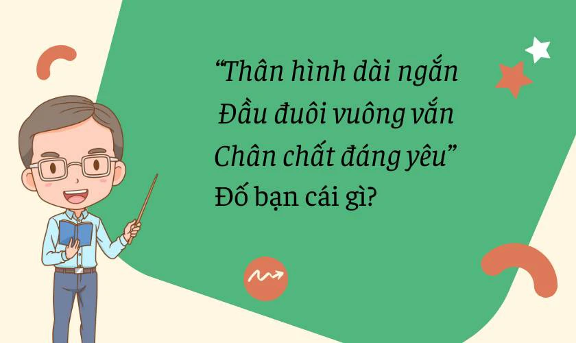 Những câu đố vui hài hước ngày 20/11