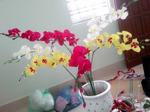 Cách làm hoa lan hồ điệp bằng giấy nhún tuyệt đẹp