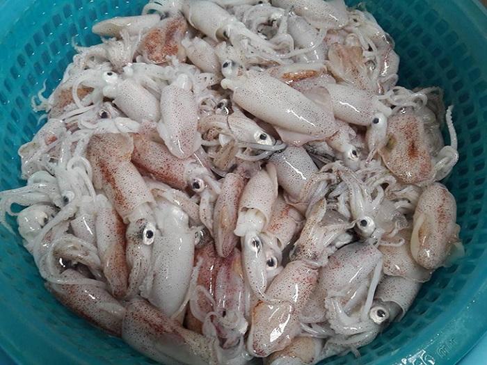 Mực ống nhỏ – bí quyết làm sạch và chế biến những món ngon