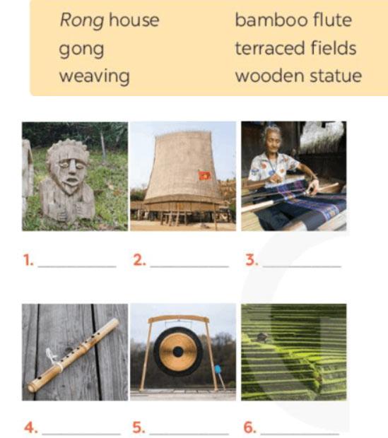 Tiếng Anh 8 Unit 4: A Closer Look 1  Soạn Anh 8 Kết nối tri thức trang 42