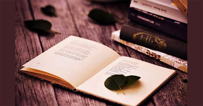 Bài văn mẫu Lớp 9: Bài viết số 2 (Đề 1 đến Đề 4)  Tuyển tập 64 bài văn mẫu lớp 9 hay nhất