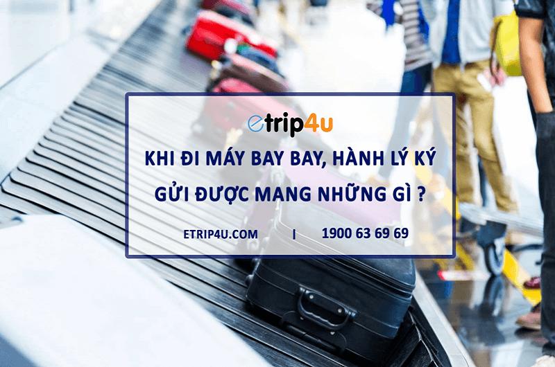 Khi đi máy bay bay, hành lý ký gửi được mang những gì ?