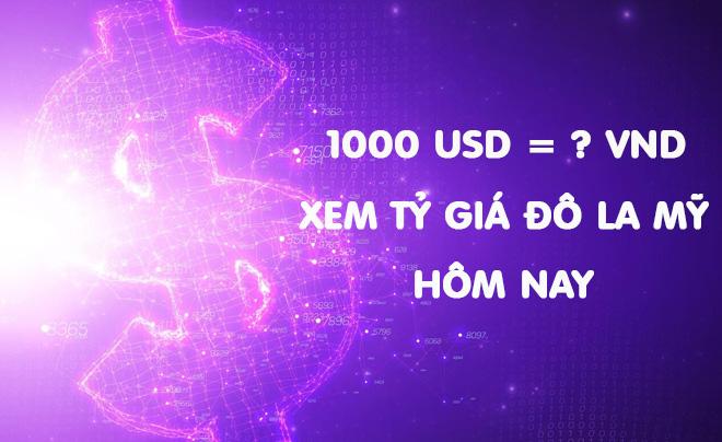 1000 Đô bằng bao nhiêu tiền Việt?