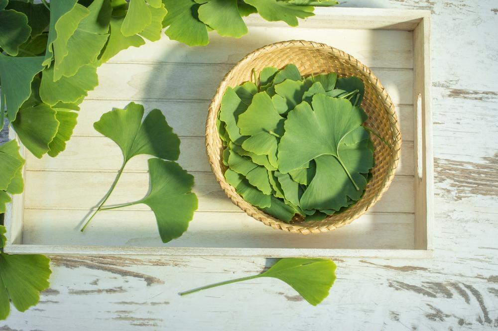 Ginkgo Biloba 2000 Úc: Viên uống hỗ trợ tuần hoàn máu não