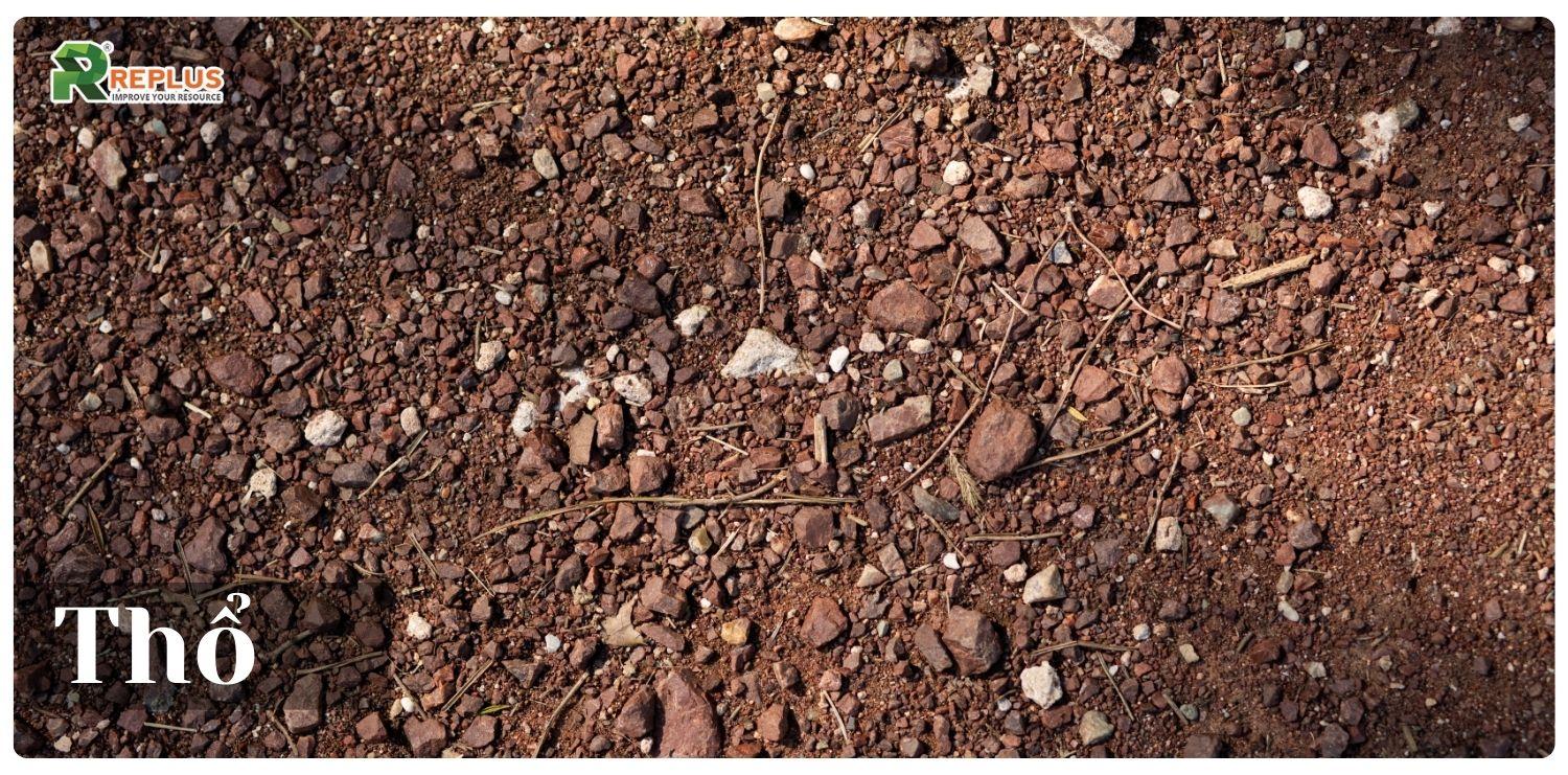 Bính Tuất 2006 mệnh gì, con số phong thủy và lưu ý năm 2025