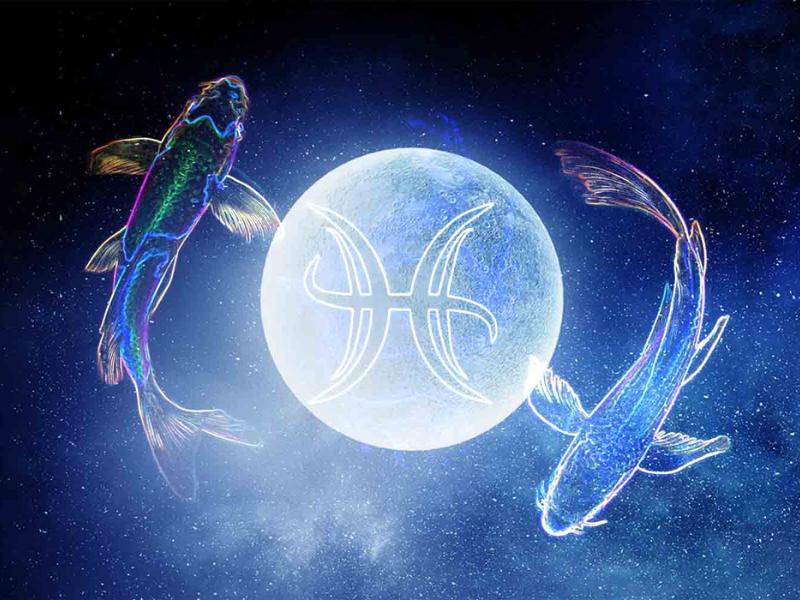 Cung Song Ngư Pisces (19/02 – 20/03): Giải mã tính cách, tình cảm, sự nghiệp