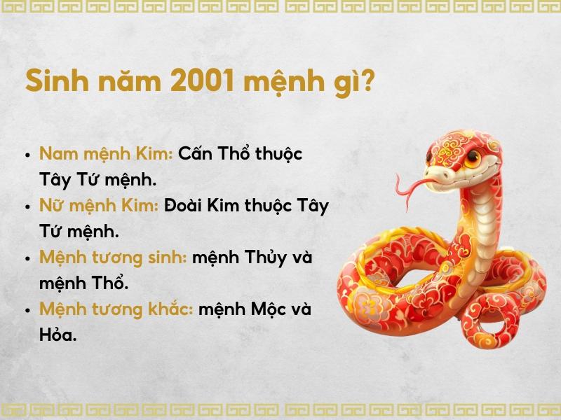 Nam, nữ 2001 mệnh gì, hợp với tuổi, màu gì?