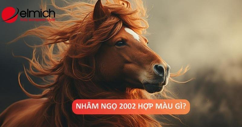 Sinh Năm 2002 Bao Nhiêu Tuổi và Phong Thủy Hợp Mệnh