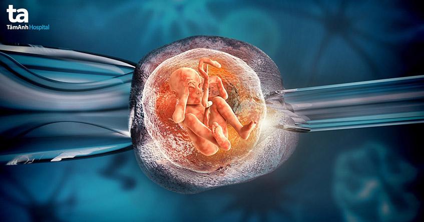 Chuyển phôi ngày 5 có ưu điểm gì so với ngày 2, ngày 3