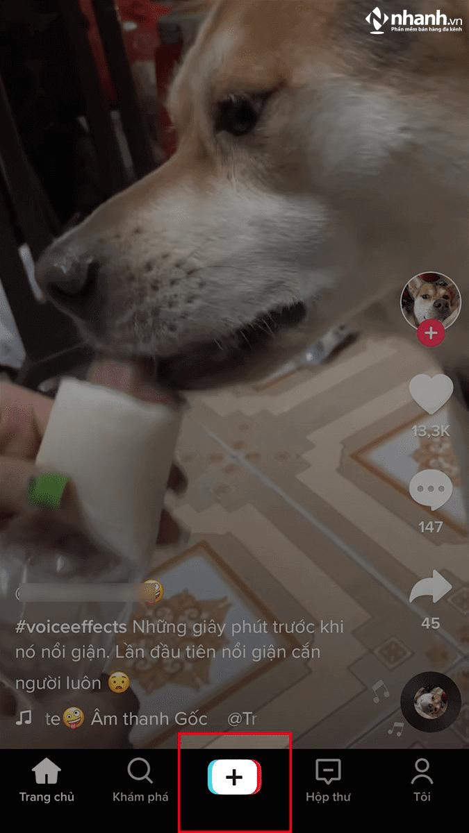 Chi tiết cách ghép nhạc vào video trên TikTok và chèn nhạc vào ảnh đơn giản và nhanh chóng
