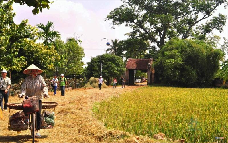 Tuyển tập 15+ bài thơ về quê hương đất nước hay nhất