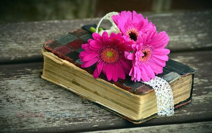 Hình ảnh sách đẹp mắt