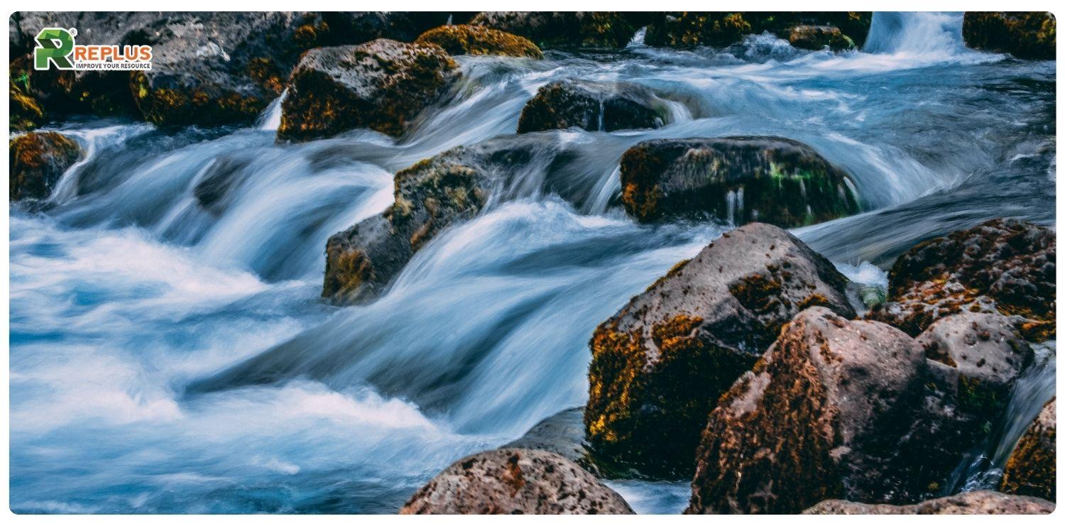 Ất Dậu 2005 mệnh gì? Số phong thủy và lưu ý cho năm 2025