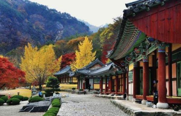 16 Ngôi Chùa có Phong Cảnh Đep Nhất ở Hàn Quốc