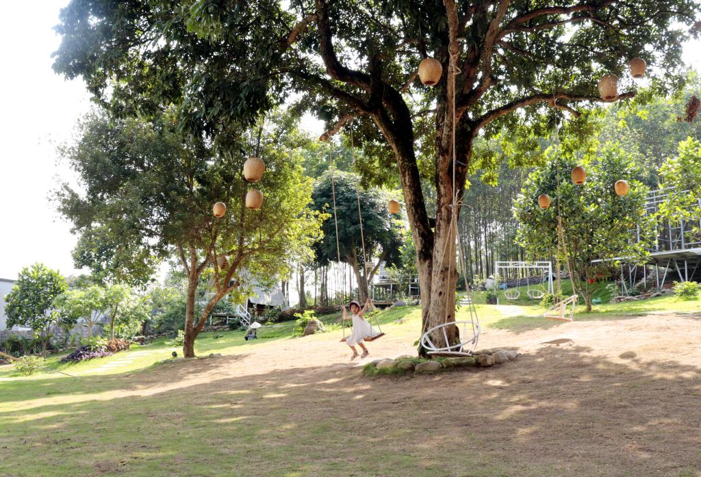 Trải nghiệm ở Happy Land