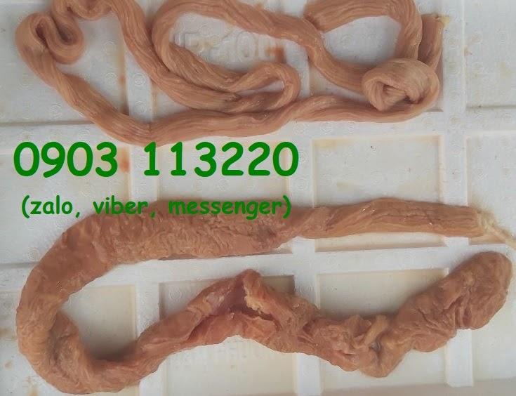 Ruột già bò