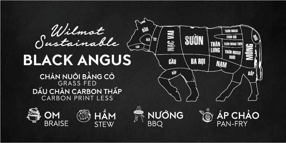 phan cat cua bo black angus